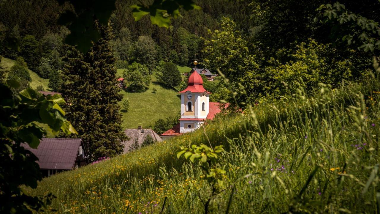 Pension U Pece Pec pod Snezkou Esterno foto
