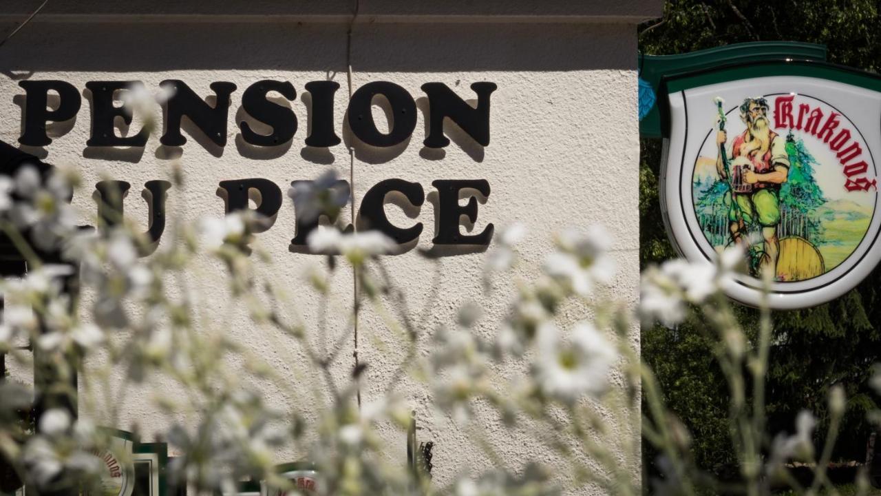 Pension U Pece Pec pod Snezkou Esterno foto